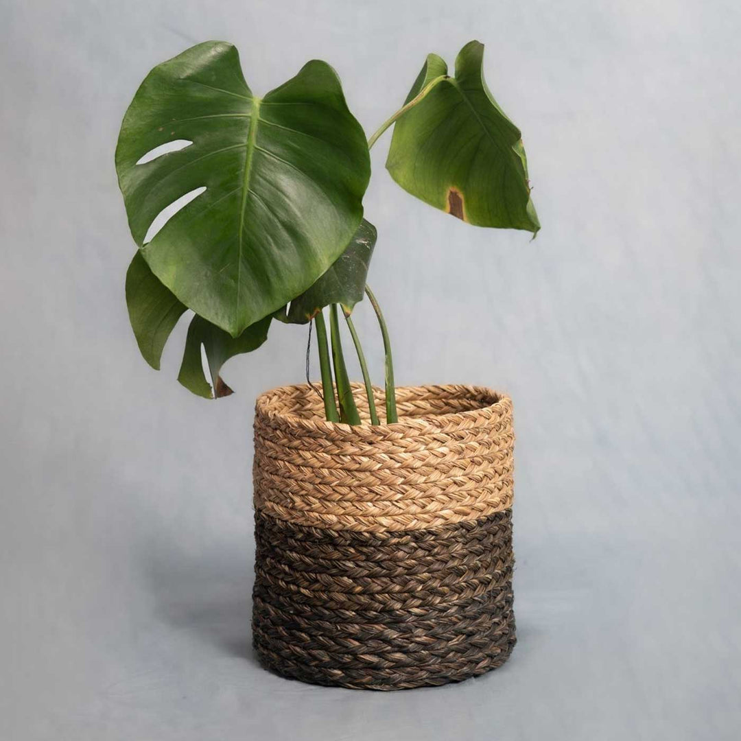 Handmade Grass Weaving Minimalist Twisted Texture Sabai Planter Cover