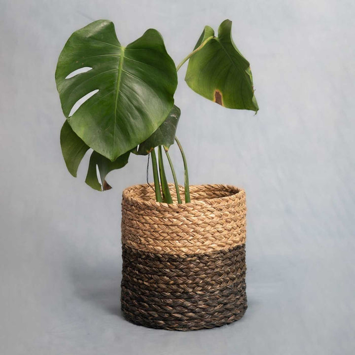 Handmade Grass Weaving Minimalist Twisted Texture Sabai Planter Cover