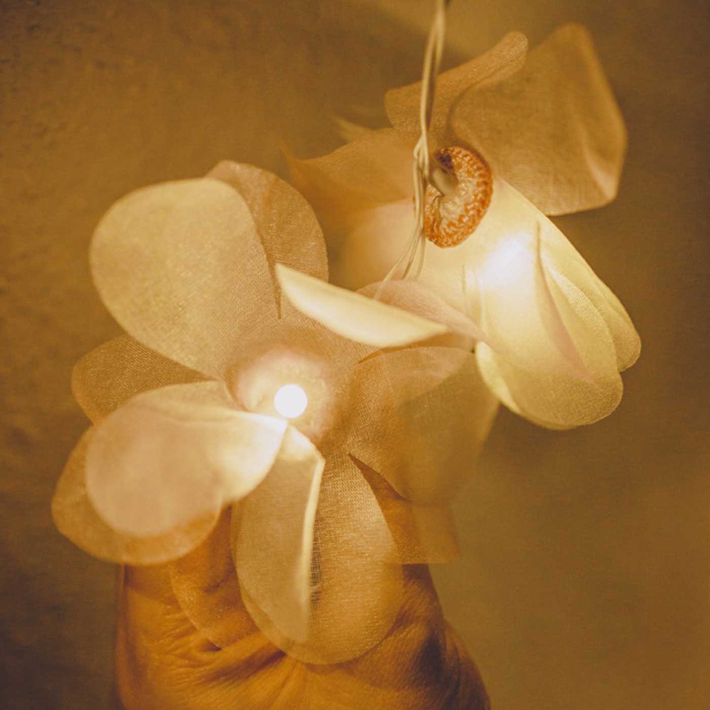 Buy Floral Fairy Lights For Home Decor Online At Best Price On Zwende
