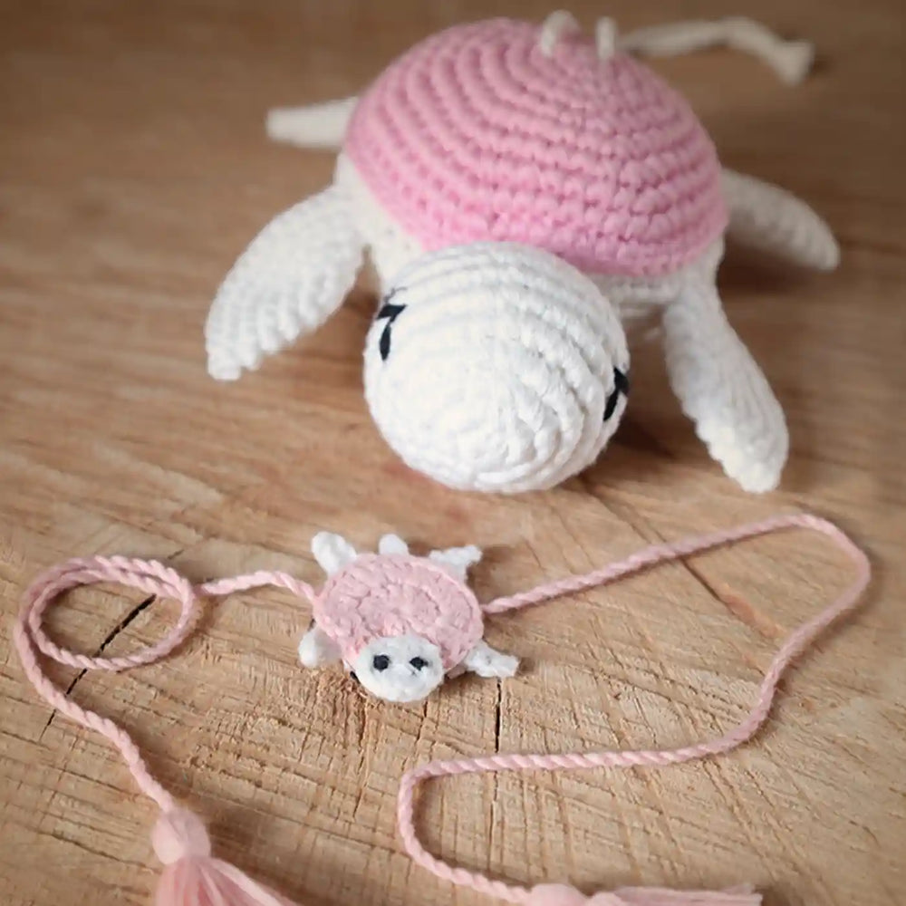 Handmade Crochet Turtle Theme Kids Rakhi And Toy Combo With Roli Chawal Set Of 2 - Angled Close-up View
