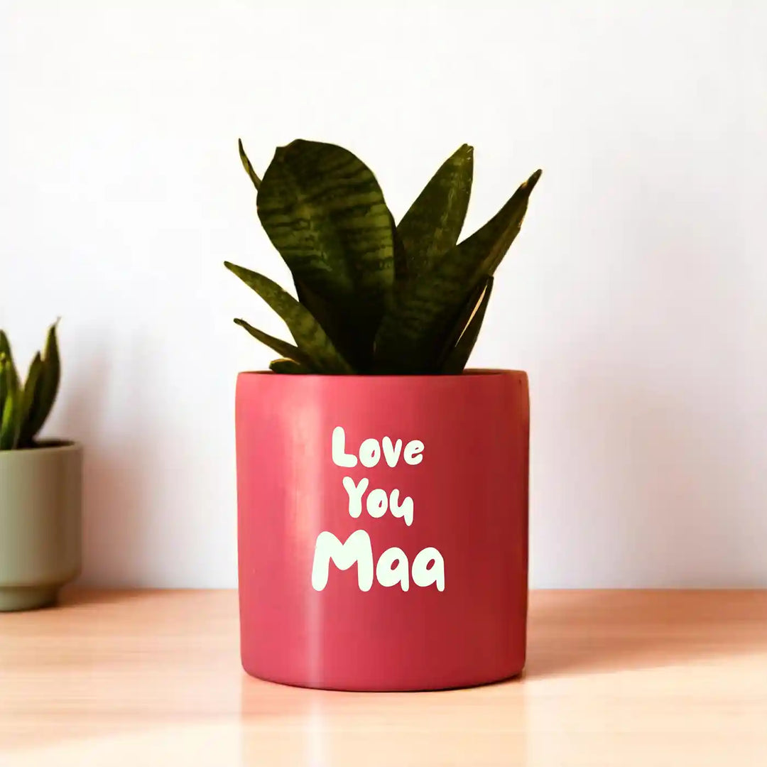 Customized Hand-Painted Love You Maa Theme Terracotta Planter