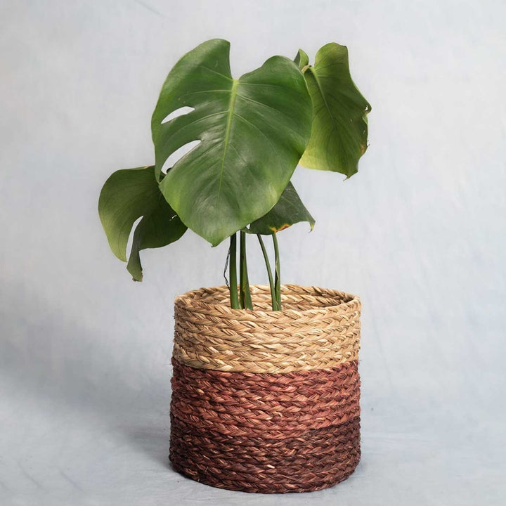 Handmade Grass Weaving Minimalist Twisted Texture Sabai Planter Cover