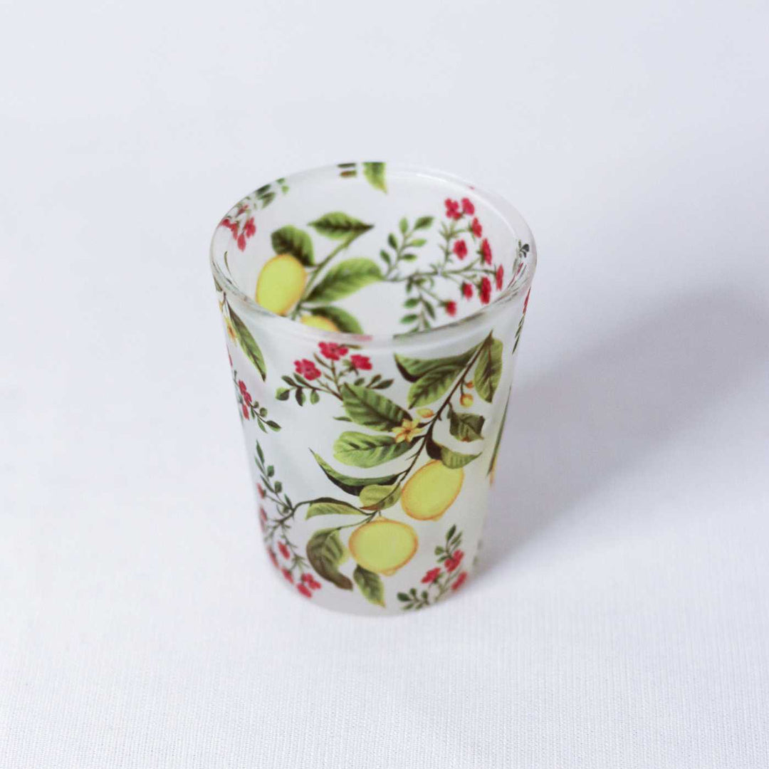 Delicate Print Frosted Shot Glasses I Set of 4