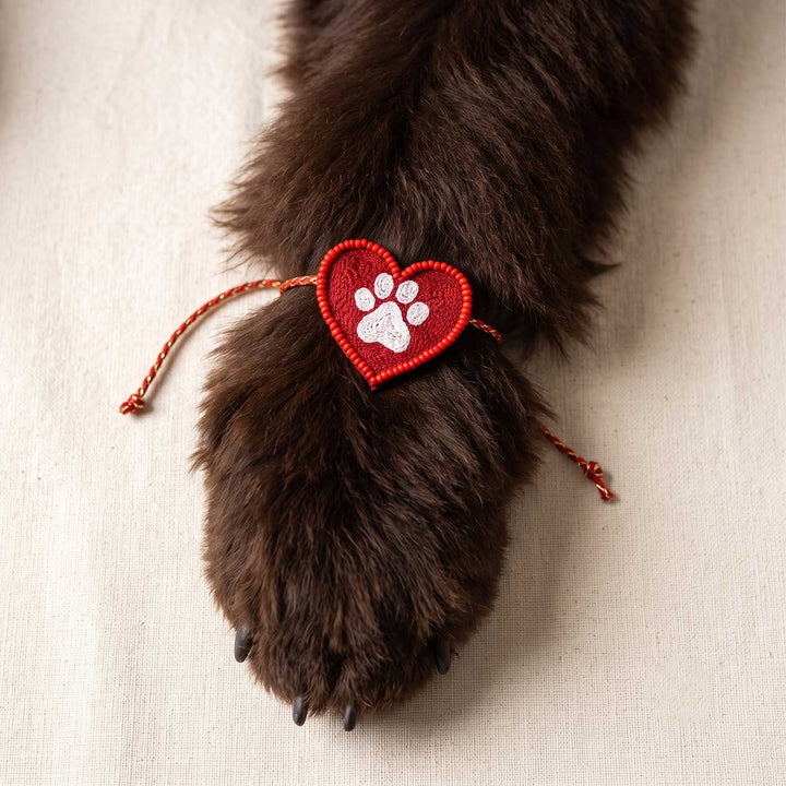 Handmade Beaded Paw Heart Rakhi With Roli Chawal