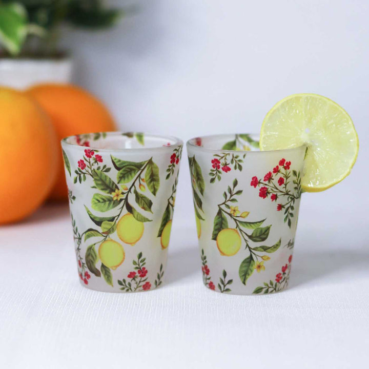 Delicate Print Frosted Shot Glasses I Set of 4