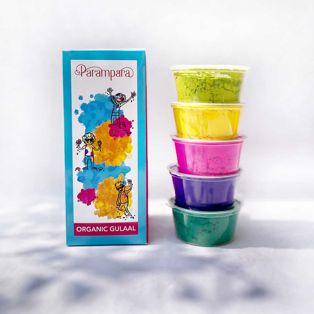 22 Pc | Organic Premium Holika Dahan Pooja Box