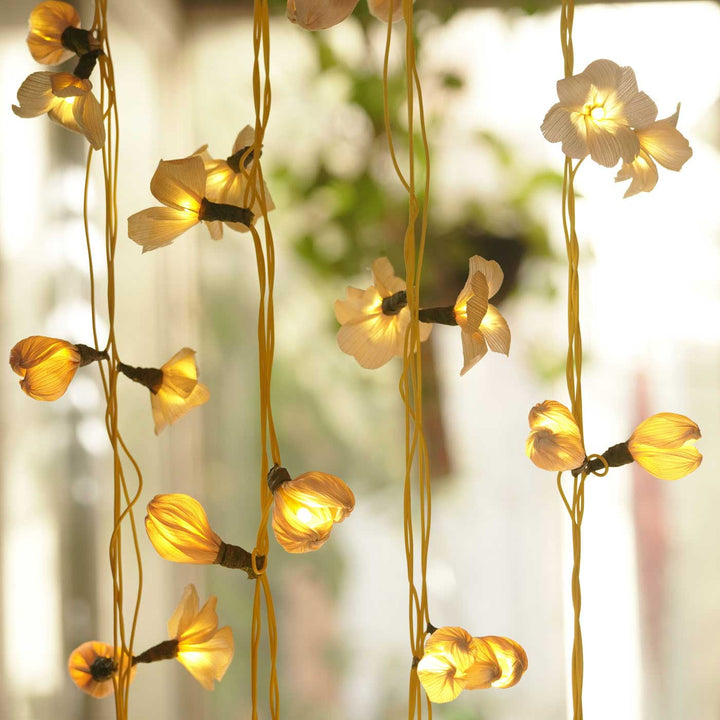 "Waste to Wonder": Upcycled Corn Husk Fairy Lights Workshop | The Zwende Space