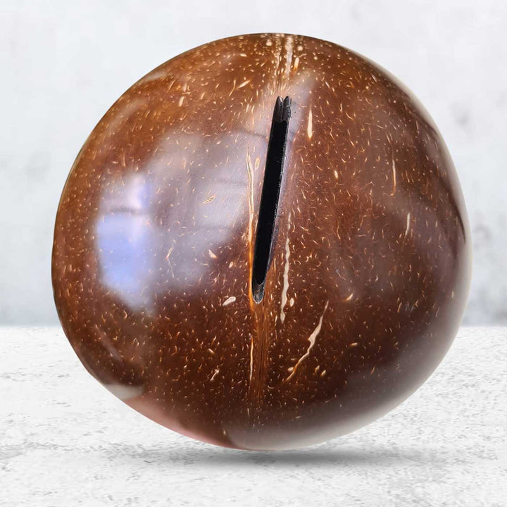 Eco-Friendly Handmade Kids Coconut Shell Piggy Bank