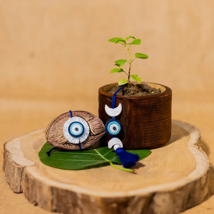Nazarbattu Plantable Handmade Cork Sibling Rakhi Hamper With Roli Chawal - Rakhi with Growing Plant Display