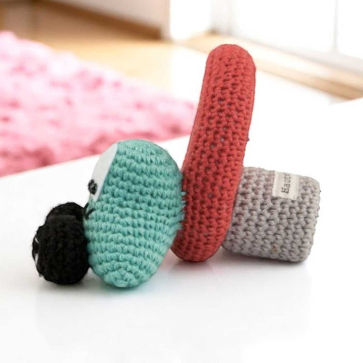 Handmade Crochet Crazy Car Photo Frame & Kids Rakhi With Roli Chawal