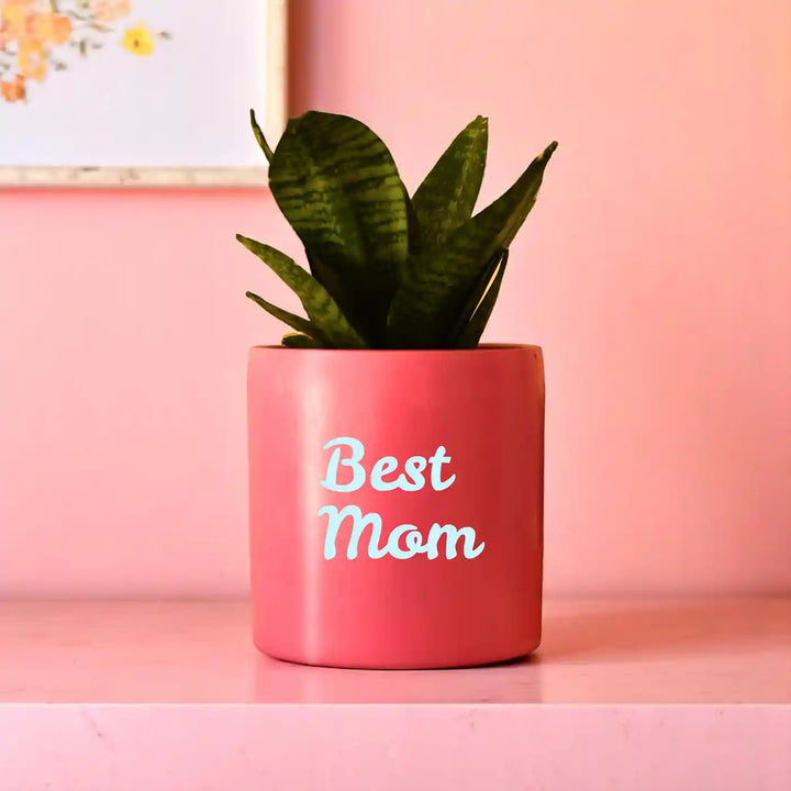 Customized Hand-Painted Best Mom Theme Terracotta Planter