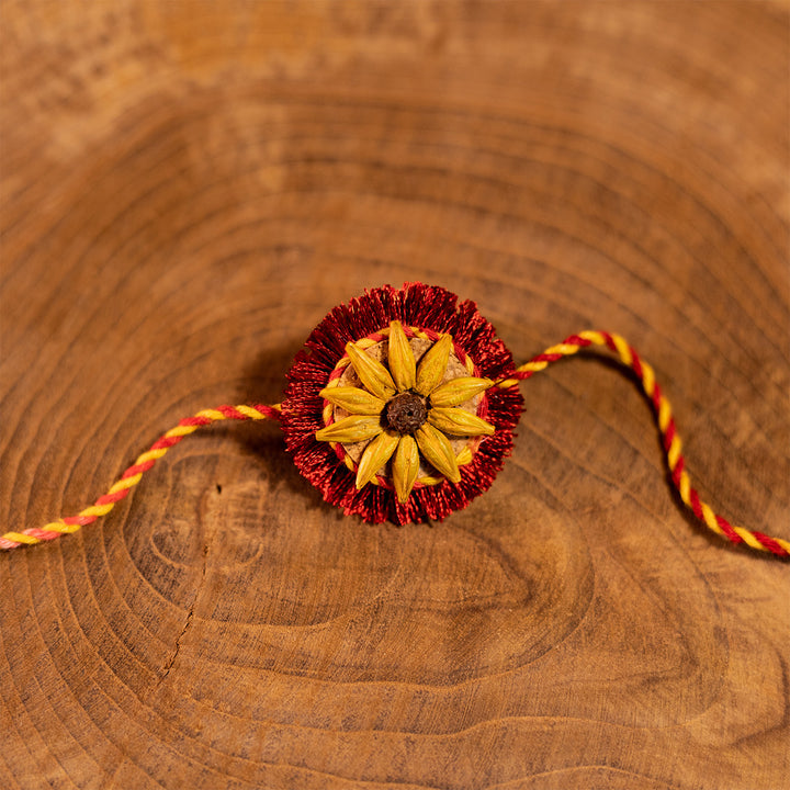 Plantable Akkad-Bakkad Seed Rakhi Pair Set With Roli-Chawal & Seed Ball For Brother | Set of 2