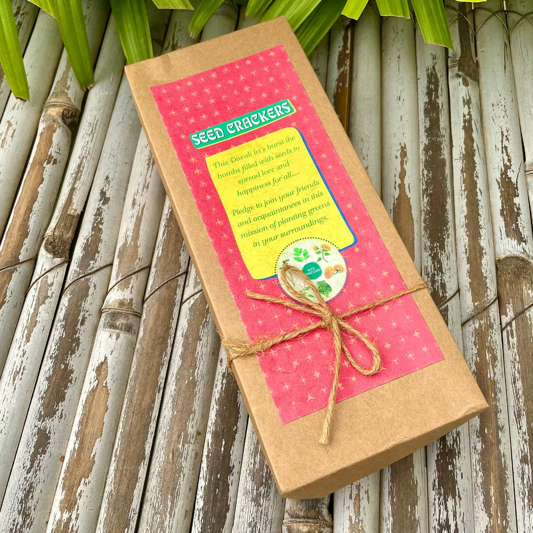 Handmade Plantable Seed Crackers With 5 Seeds Gift Hamper | Set of 5