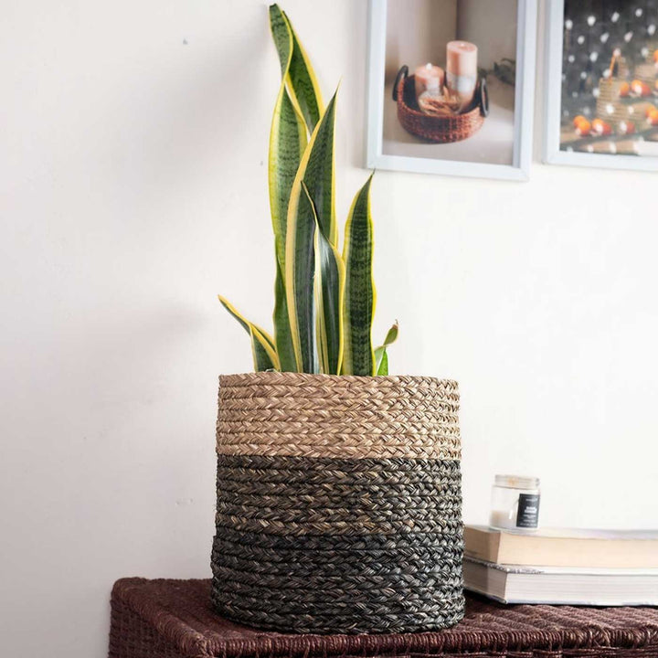 Handmade Grass Weaving Minimalist Twisted Texture Sabai Planter Cover
