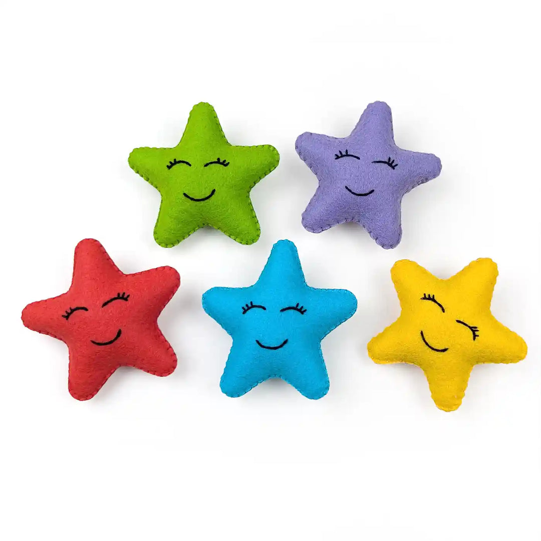 Handmade Bright Star Theme Felt Brooches | Set Of 5