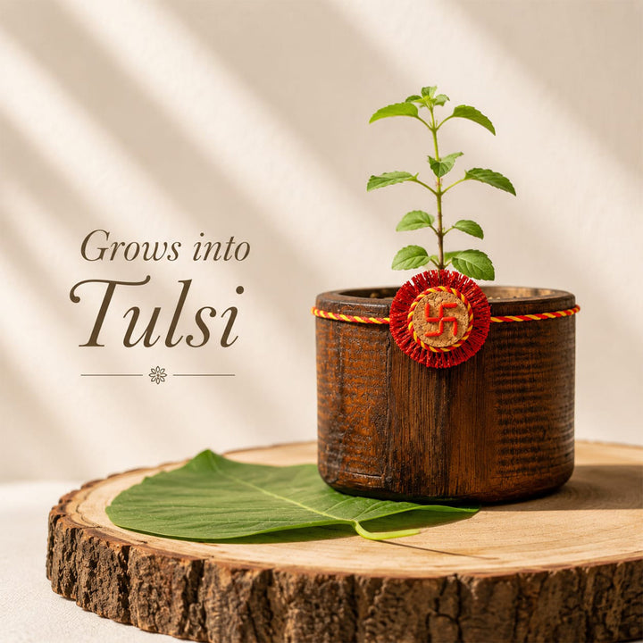 Plantable Swastik Seed Rakhi With Roli-Chawal & Rice Grain Motif For Brother