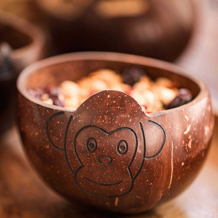 Eco-Friendly Handmade Monkey Theme Coconut Shell Bowl For Kids