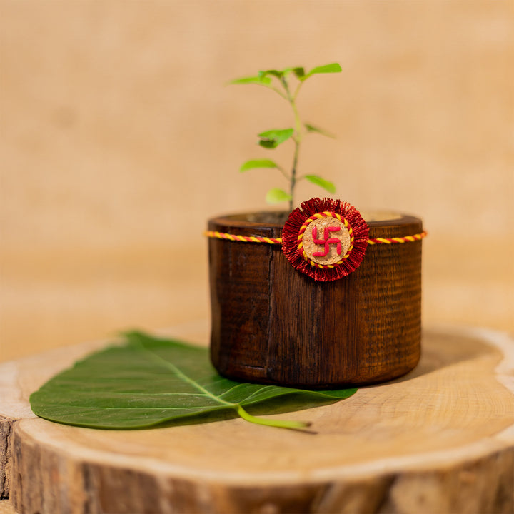 Plantable Swastik Seed Rakhi With Roli-Chawal & Rice Grain Motif For Brother