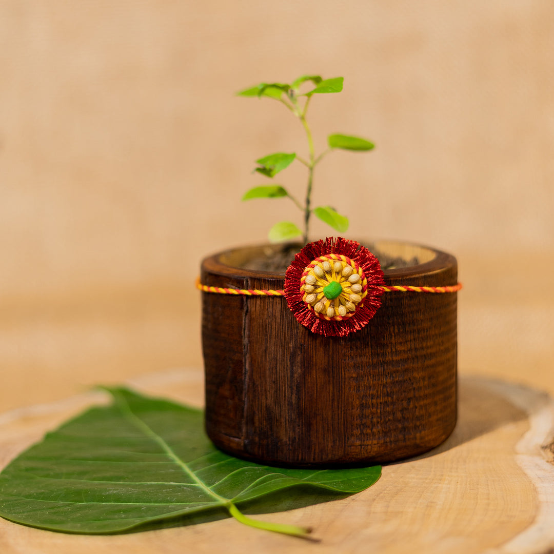 Plantable Sneh Seed Rakhi With Tulsi & Coriander Seeds For Brother
