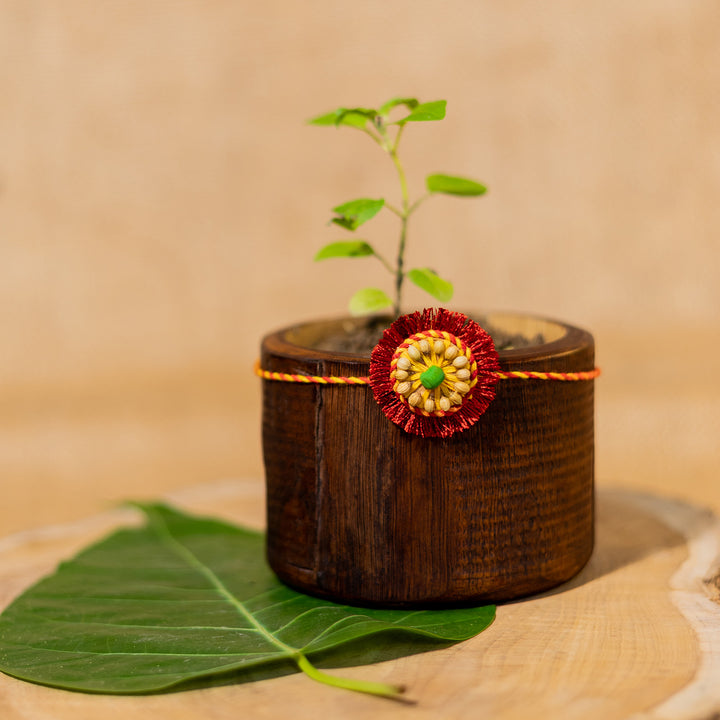 Plantable Sneh Seed Rakhi With Tulsi & Coriander Seeds For Brother