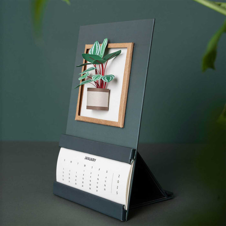 Handmade 3D Watermelon Peperomia Plant 2025 Desk Calendar