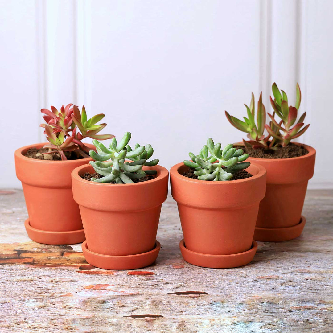 Handmade Small 4.5 Inch Gamala Planter Terracotta Planter Pot