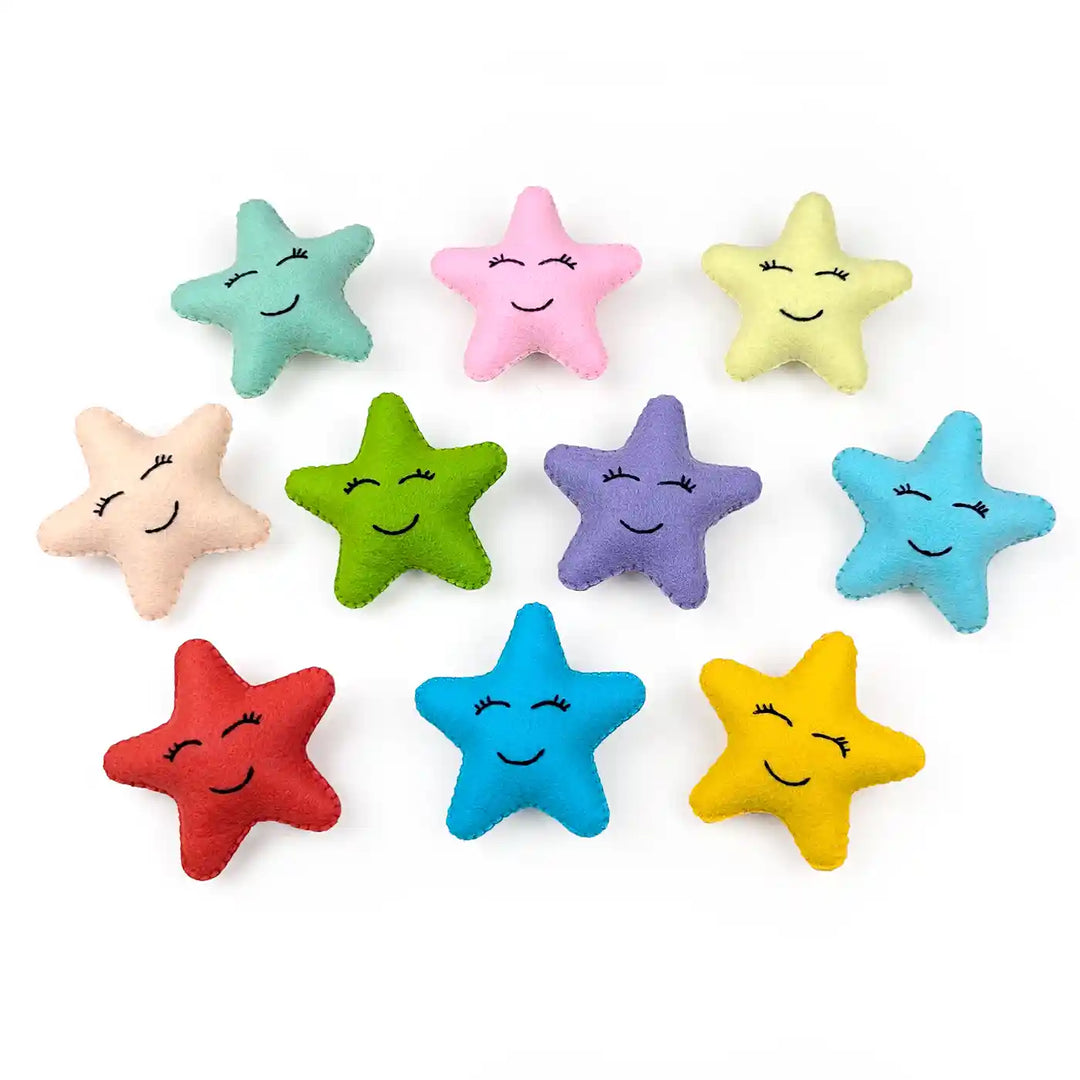 Handmade Smiley Star Theme Felt Brooches | Set Of 10