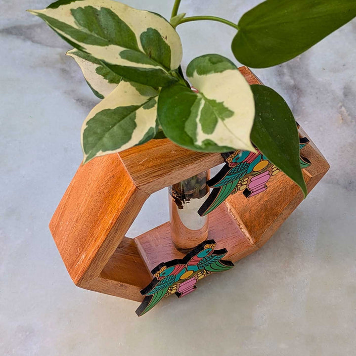 Hand-Painted Rettai Kizhi Wooden Hexagon Test Tube Planter For Home Decor