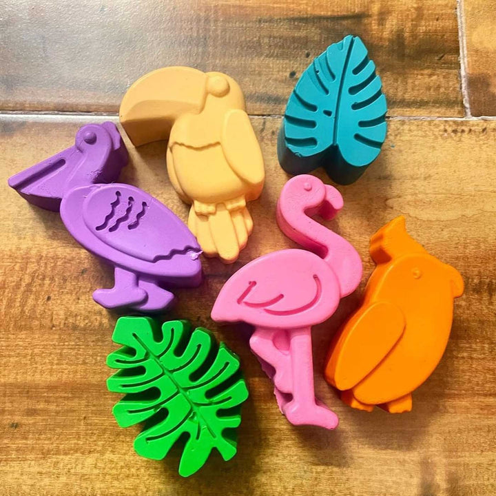 Handmade Non-Toxic Jumbo Bird Crayons | Set Of 6