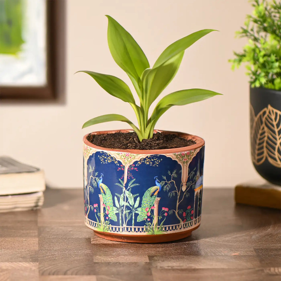 Handmade Peacock Garden Theme Terracotta Planter
