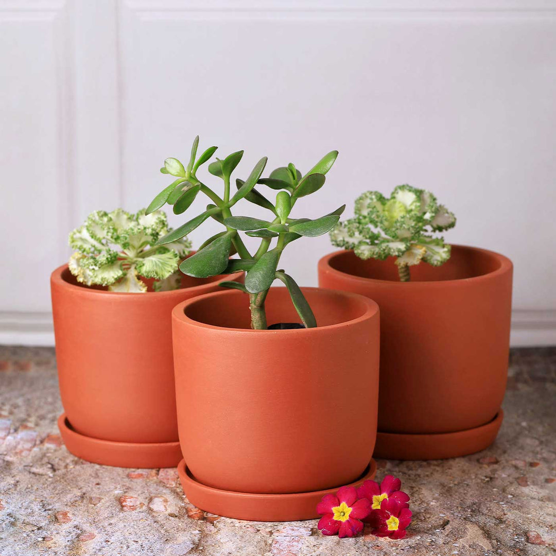 6 Inches | Handmade Autumn Terracotta Planter Pots | Set Of 3