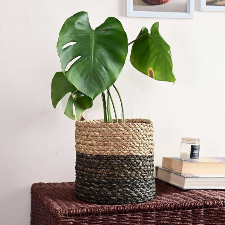 Handmade Grass Weaving Minimalist Twisted Texture Sabai Planter Cover