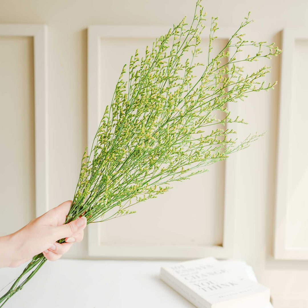 Green Limonium Dried Flower