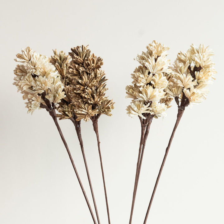 Handmade Beige And Brown Artichoke Dried Flower Bunch | Set Of 6