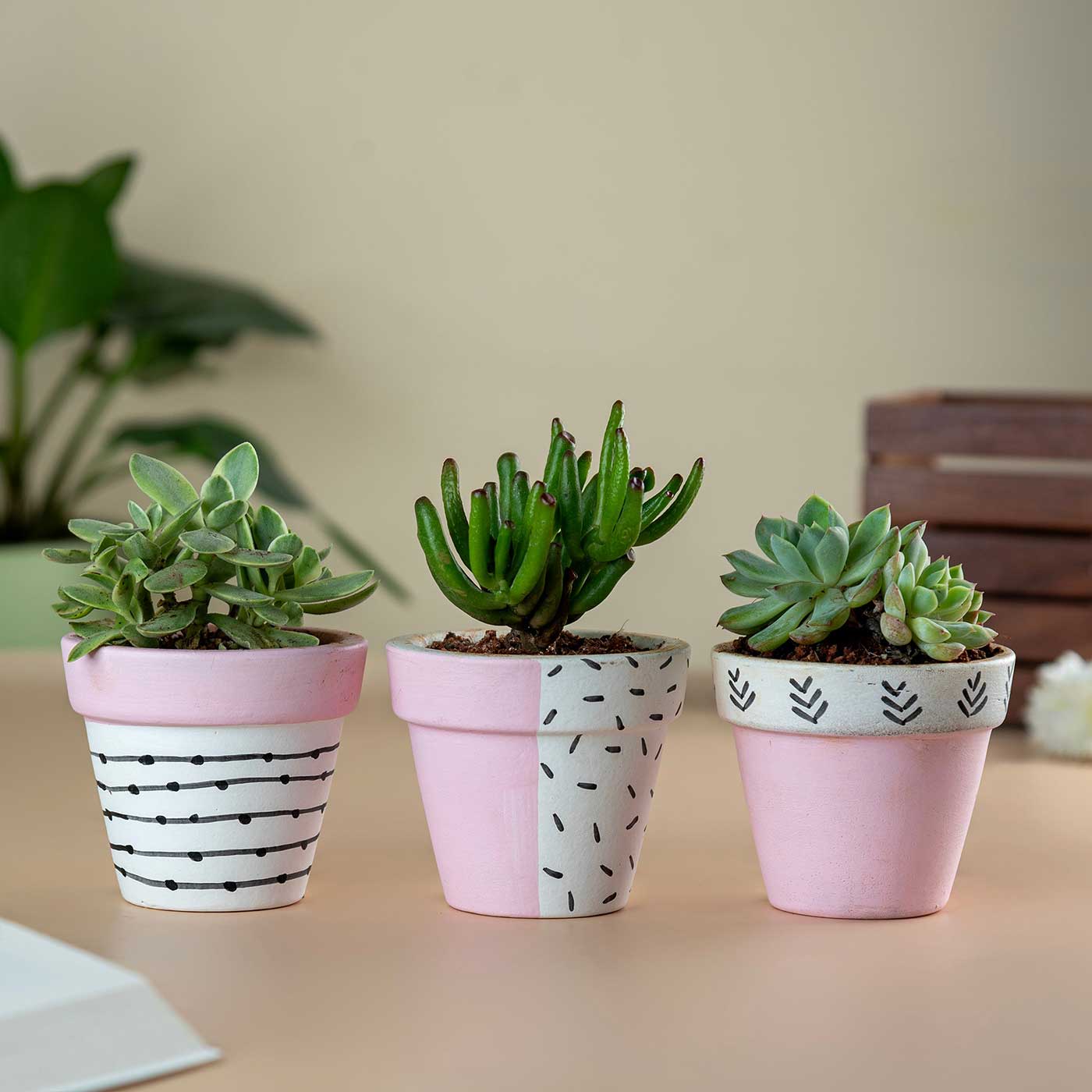 Buy Handpainted Pink Tiny Terracotta Planter Pot | Set Of 3 Online On ...