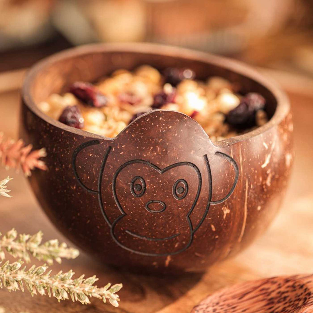 Eco-Friendly Handmade Monkey Theme Coconut Shell Bowl For Kids