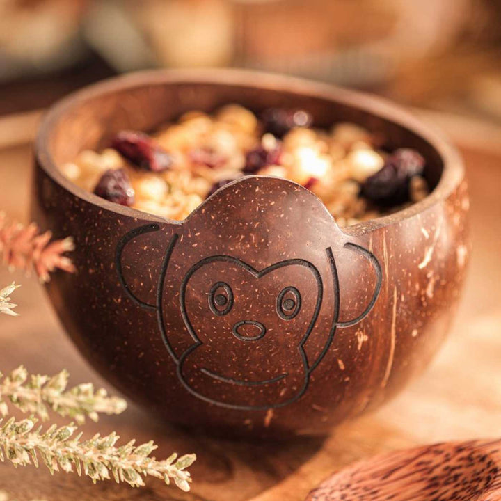 Eco-Friendly Handmade Monkey Theme Coconut Shell Bowl For Kids