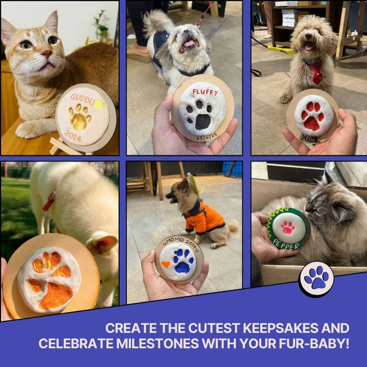 Paw Printing DIY Kit