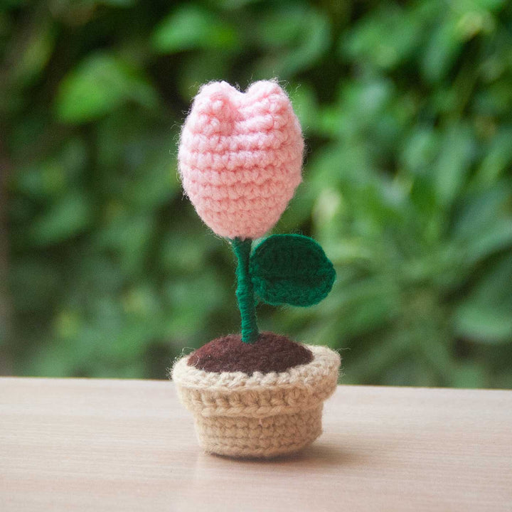 Handmade Crochet Mini Flower Pot