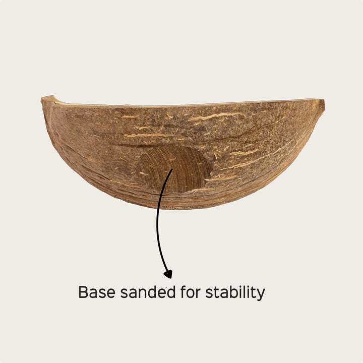 Eco-Friendly Handmade Boat Shaped Coconut Shell Platter | Set Of 10