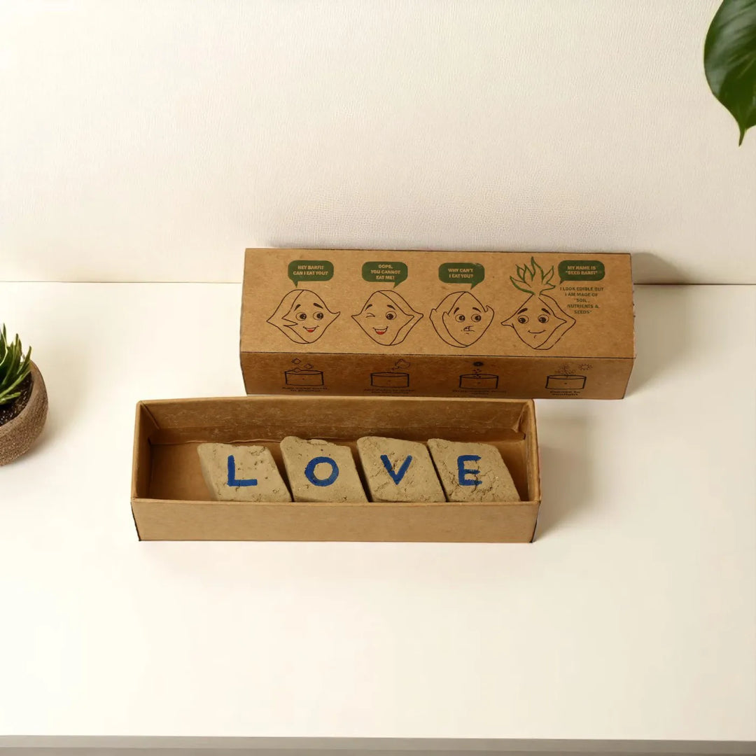 Nazarbattu Plantable Handmade Cork Rakhi Hamper With Roli Chawal - Seed letter blocks in box