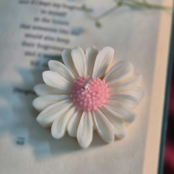 Set of 5 | Handmade Daisy Floating Soy Wax Scented Candle