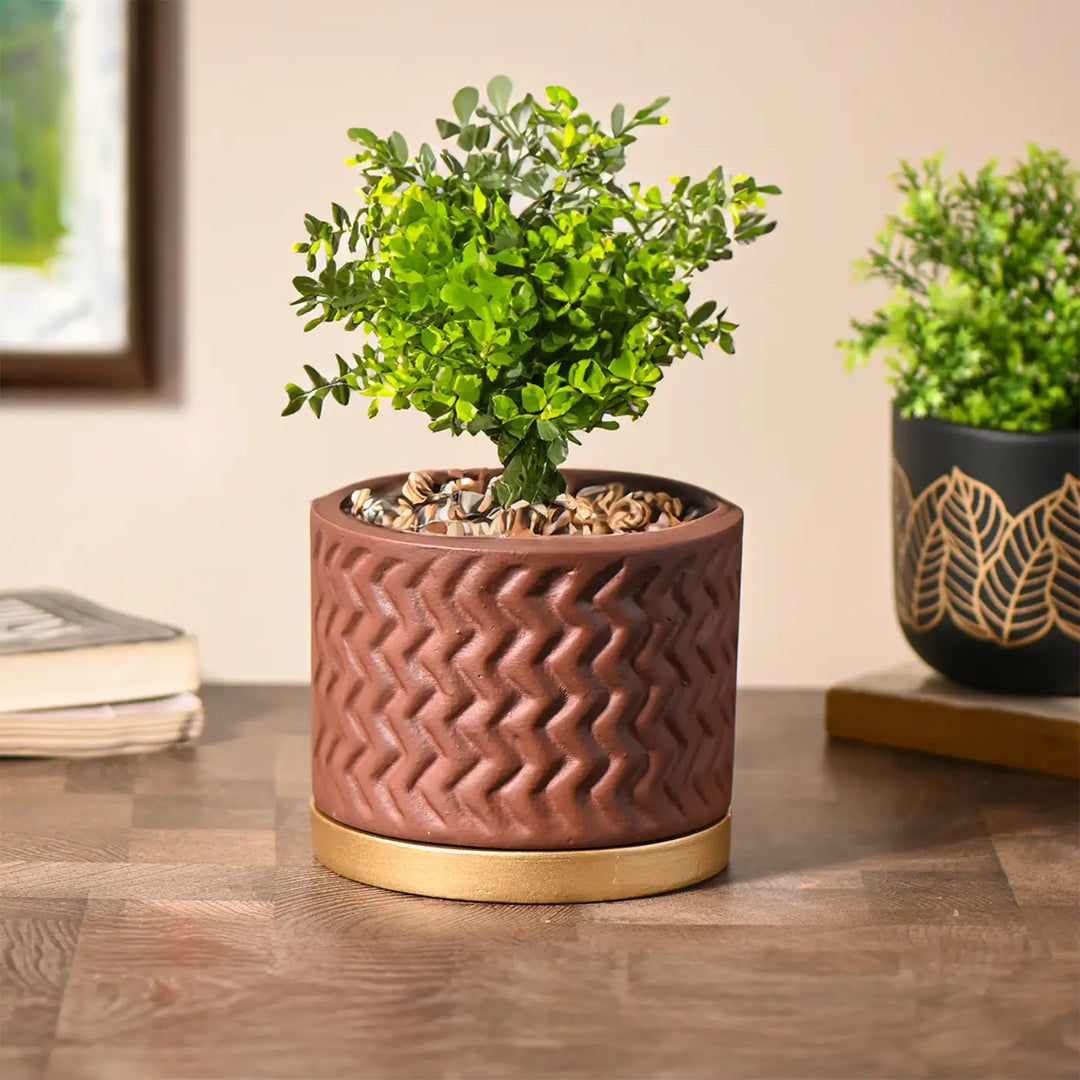 Handmade Brown Terracotta Planter With Gold Tray