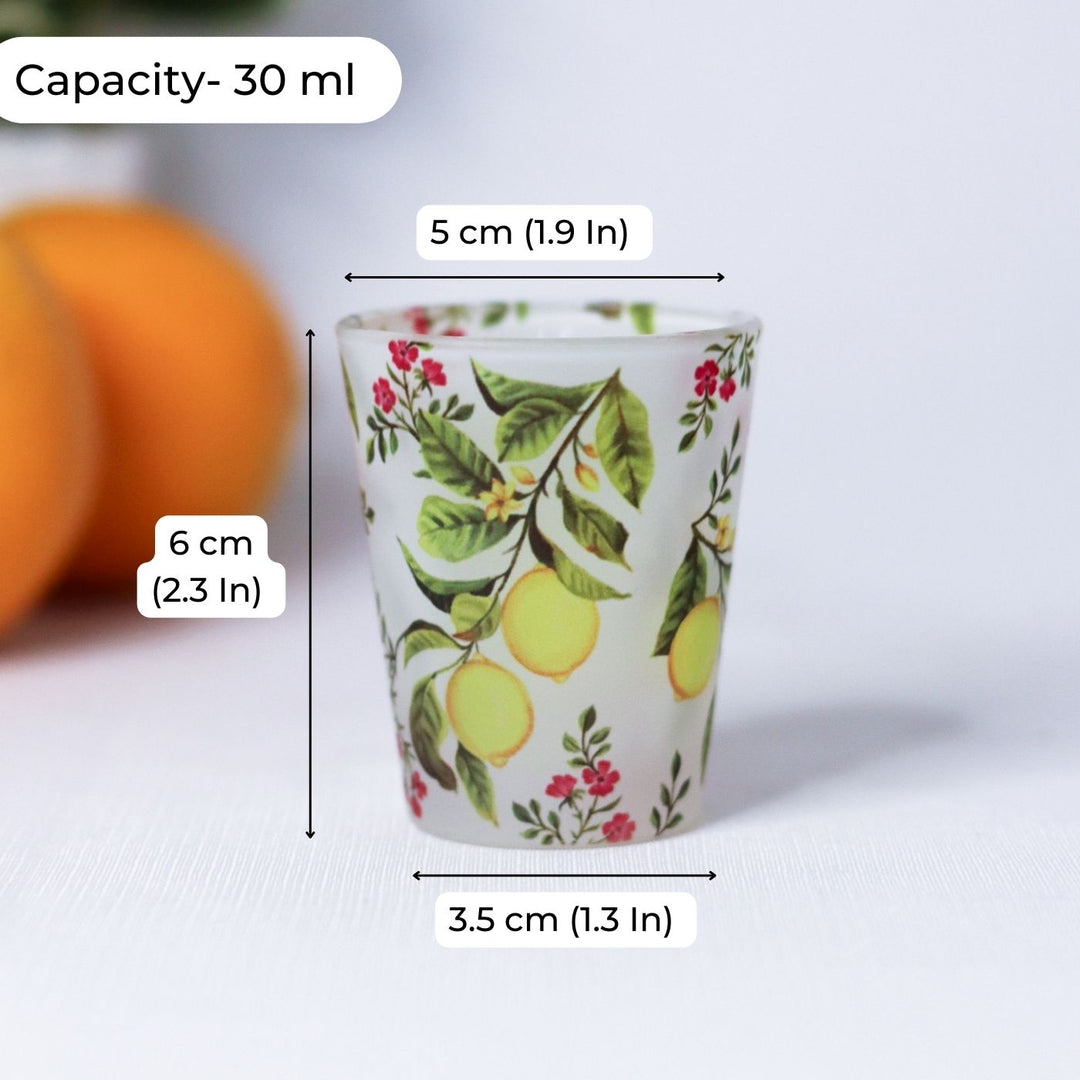 Delicate Print Frosted Shot Glasses I Set of 4