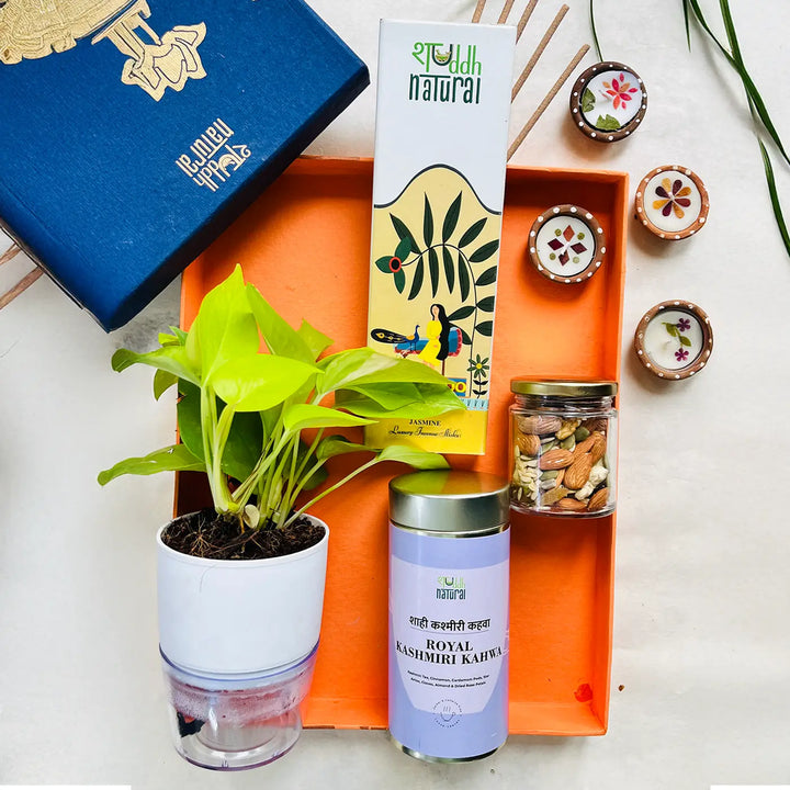 Eco-friendly Diwali Gift Hamper | Includes 1 Self-watering Money Plant, 1 Incense Pack, 1 Floral Tisane, 1 Dry Fruits Jar, 1 Festive Card