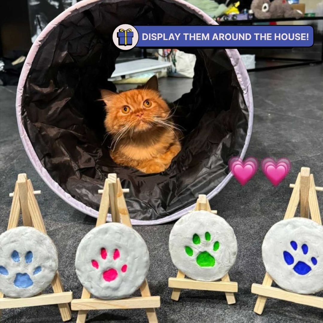Paw Printing DIY Kit
