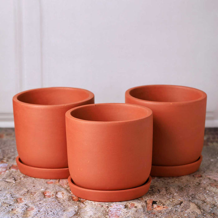 6 Inches | Handmade Autumn Terracotta Planter Pots | Set Of 3