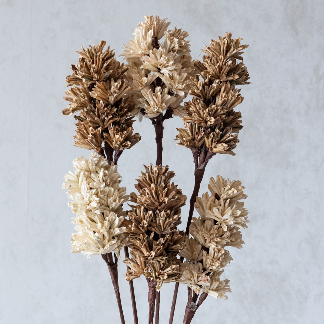 Handmade Beige And Brown Artichoke Dried Flower Bunch | Set Of 6