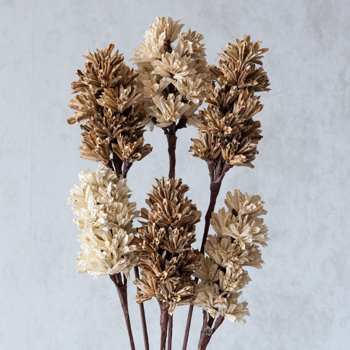 Handmade Beige And Brown Artichoke Dried Flower Bunch | Set Of 6