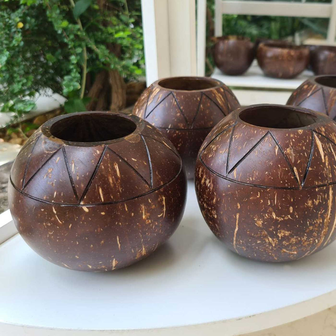 coconut planting pots Buy Eco-Friendly Handmade Zig Zag Coconut Shell Planter Pot Online On Zwende